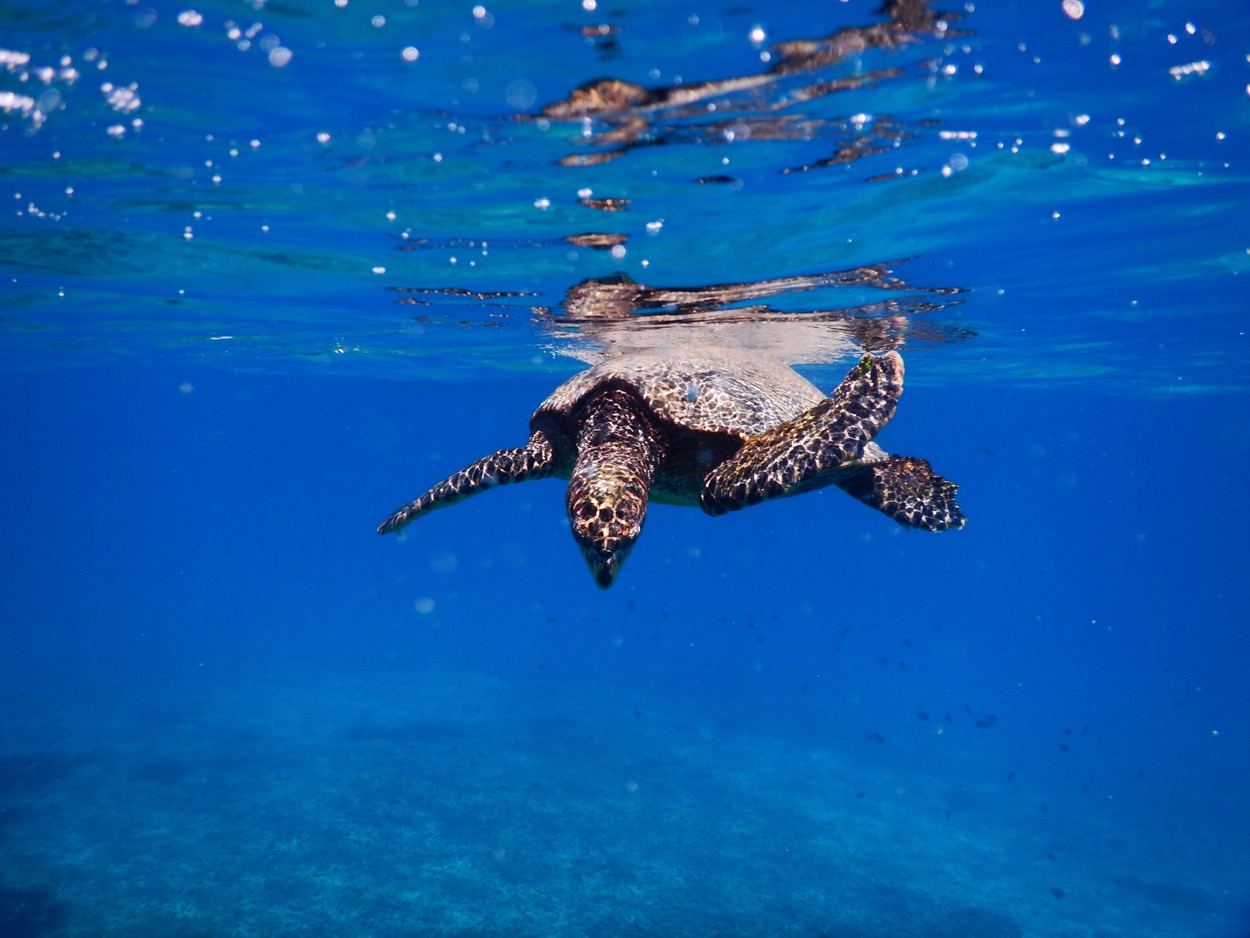 Seychellen-DSCN0659
