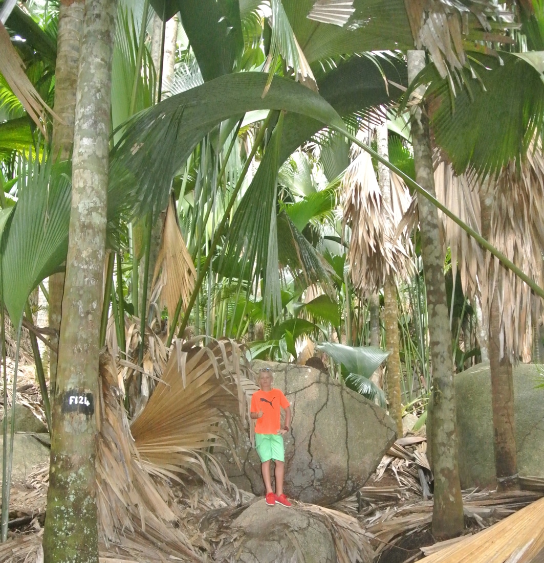 Seychellen-Valley