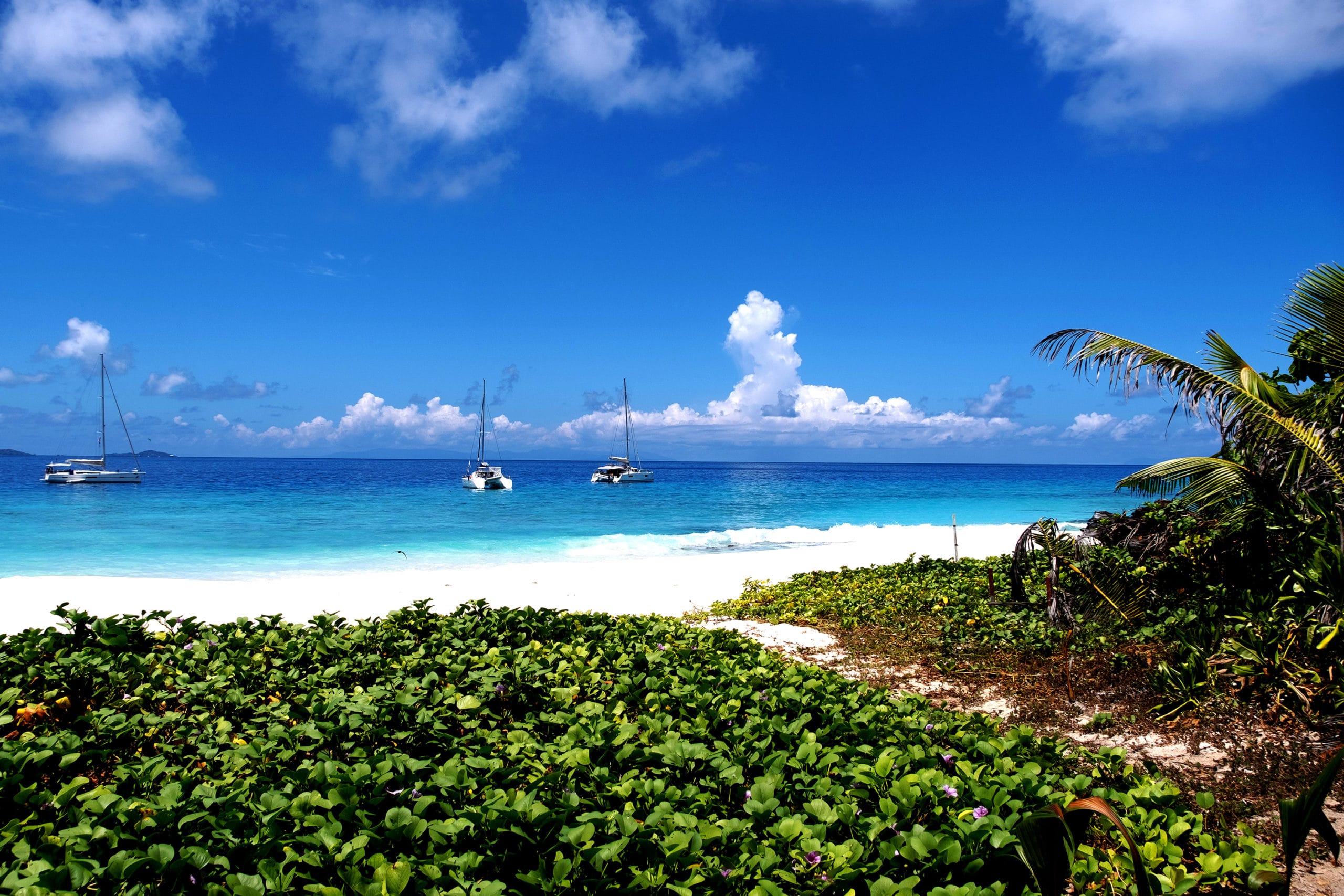 WEB-Seychellen-2022-Aride