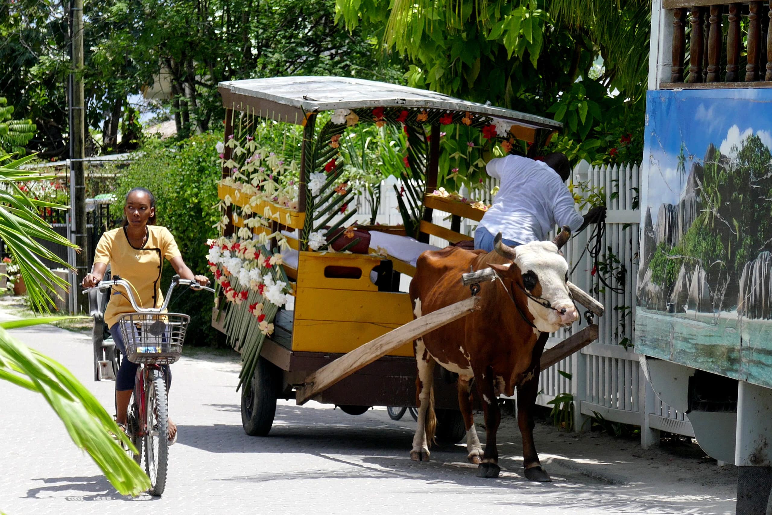 WEB-Seychellen-2022-LaDigue-Gemuetlichkeit