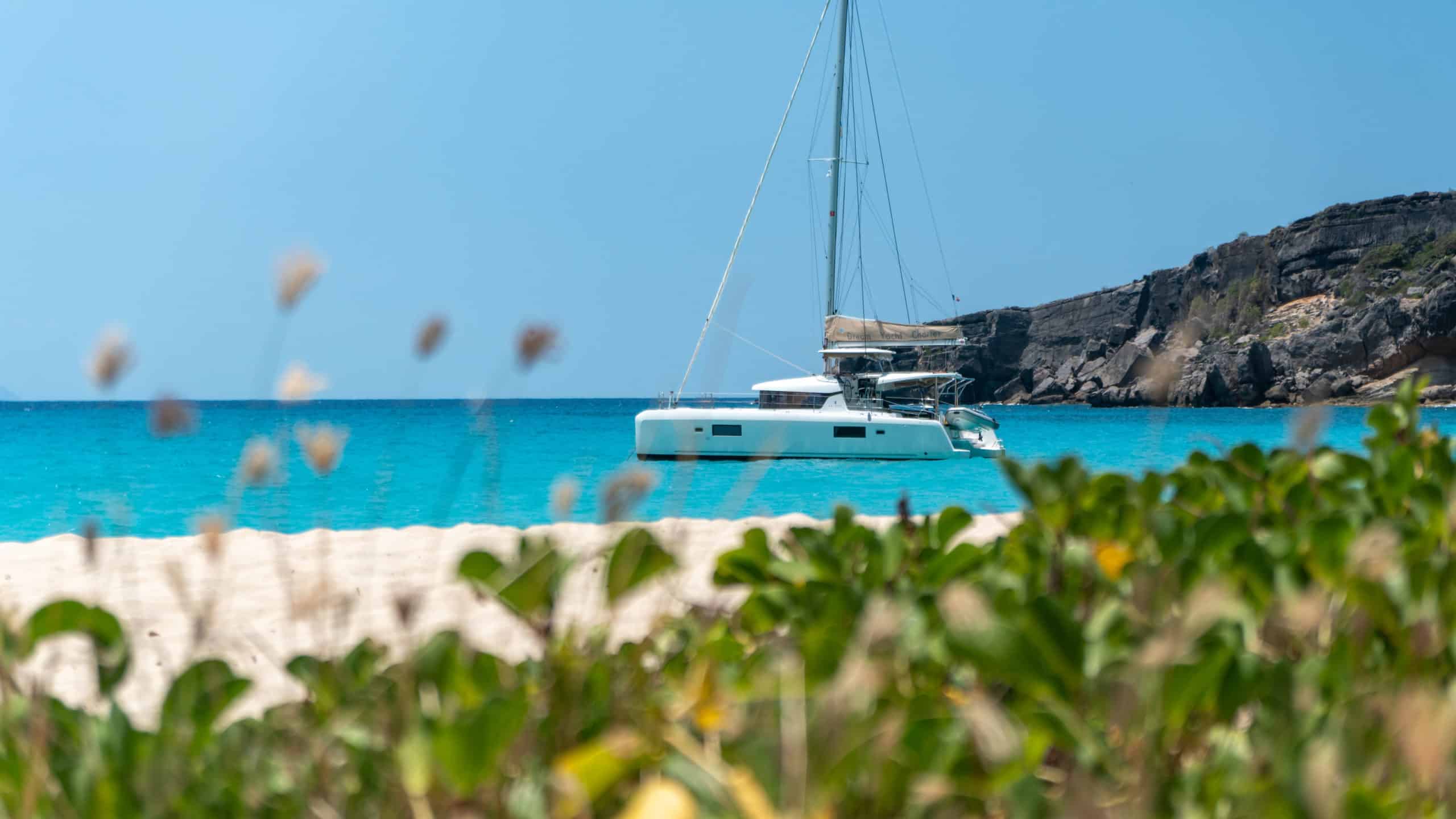 DYC-stmartin-beach-cat