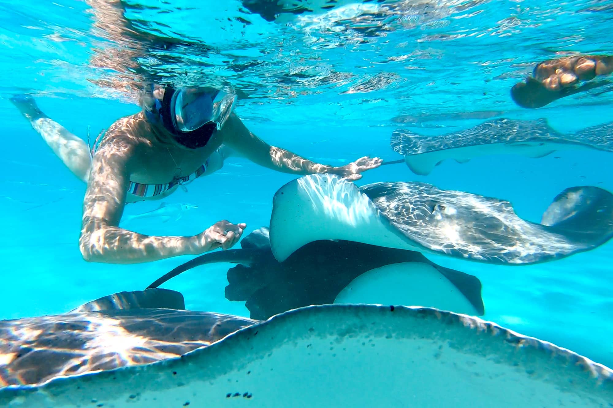 WEB_DYC-Poly-snorkel-mantas