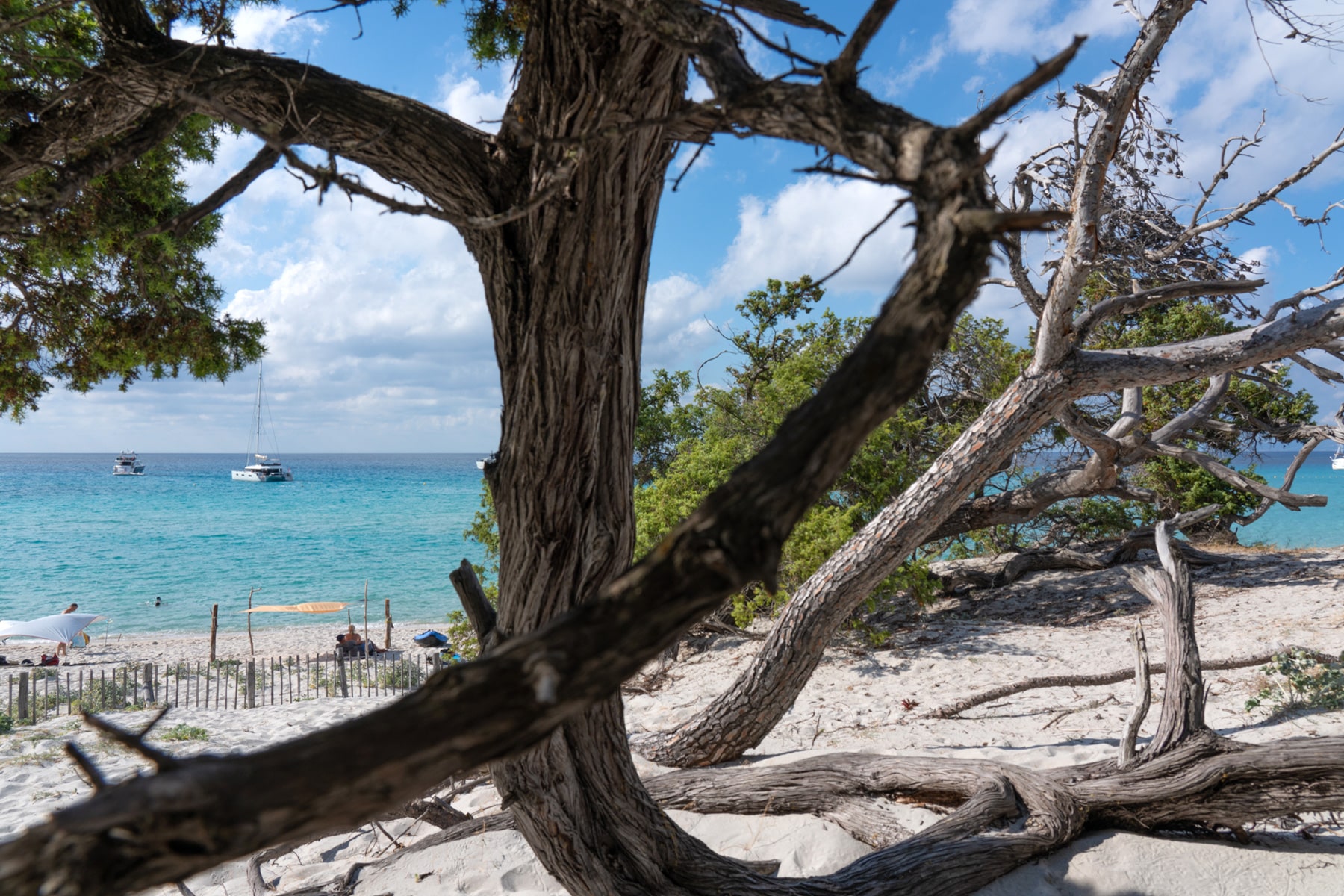 web-DYC-France-Corse-beach