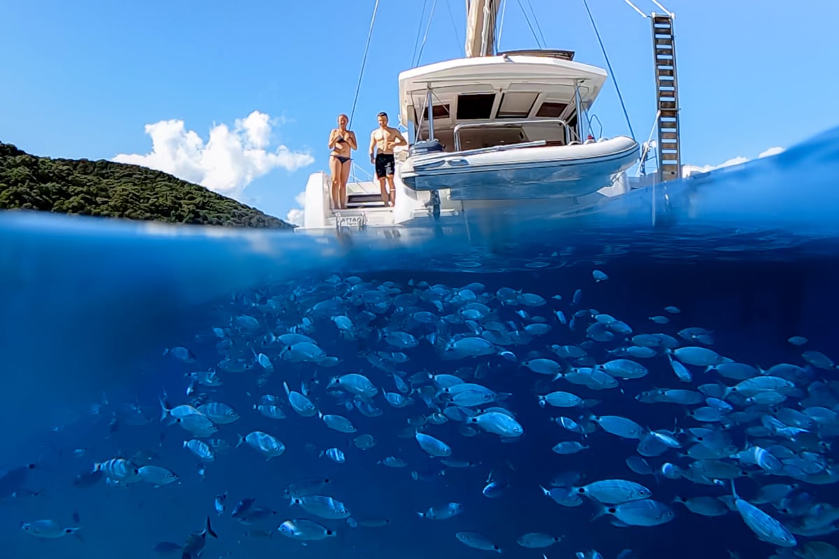 WEB_DYC-underwater-ourdays